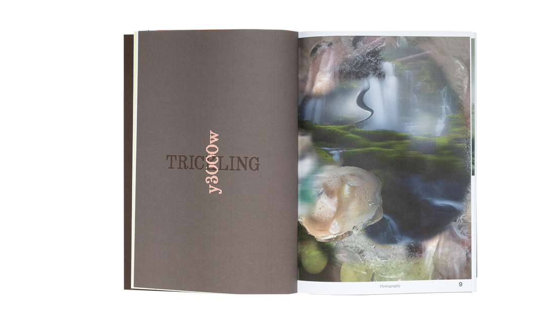 Fruta Magazine Cover